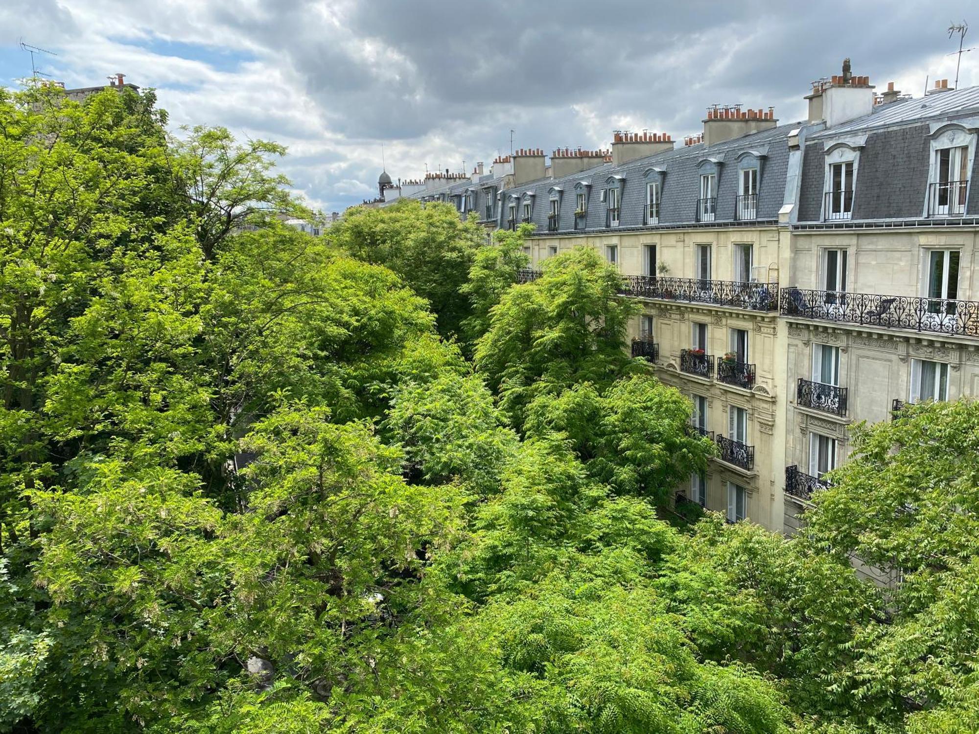 Urban Retreat In Appartement